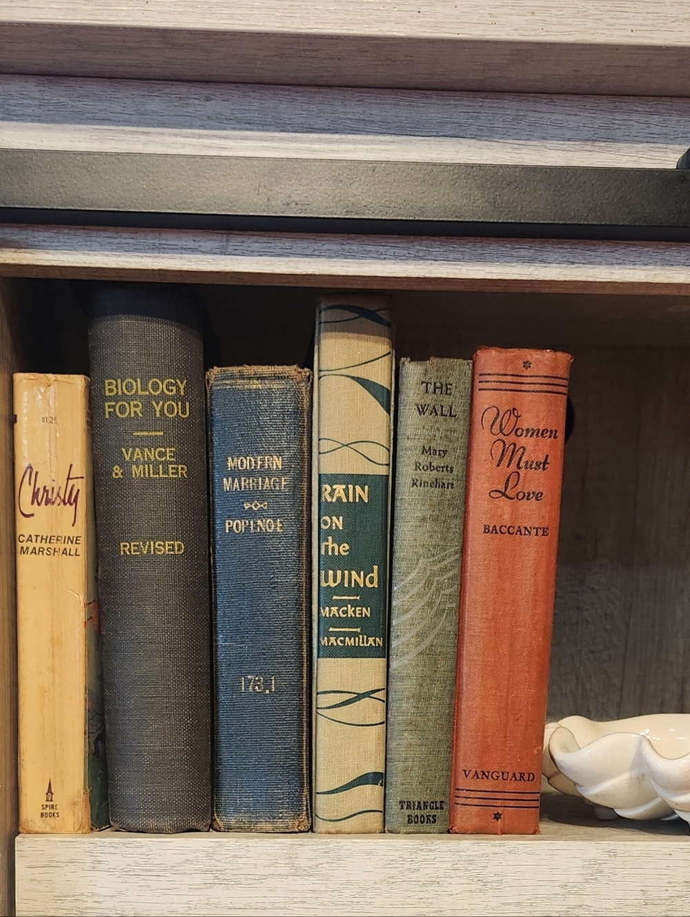 Coastal Grandmother Vintage Book Lot - Blue Coral Green - Bookshelf Wealth Decor